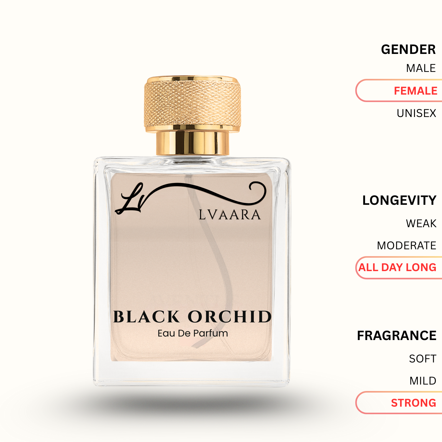 BLACK ORCHID | INSPIRED BY BL*CK ORCH*D BY T*M F*RD | EDP | FEMALE