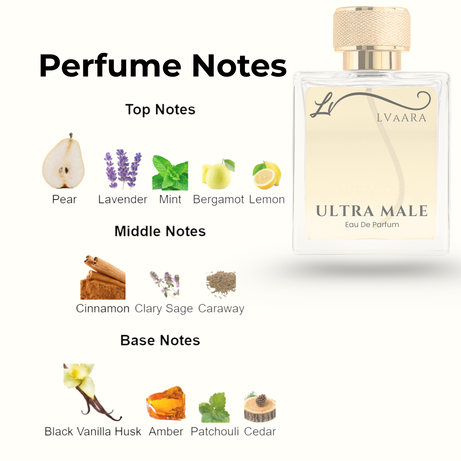 ULTRA MALE | INSPIRED BY ULTRA M*LE BY J*PG | EDP | MALE