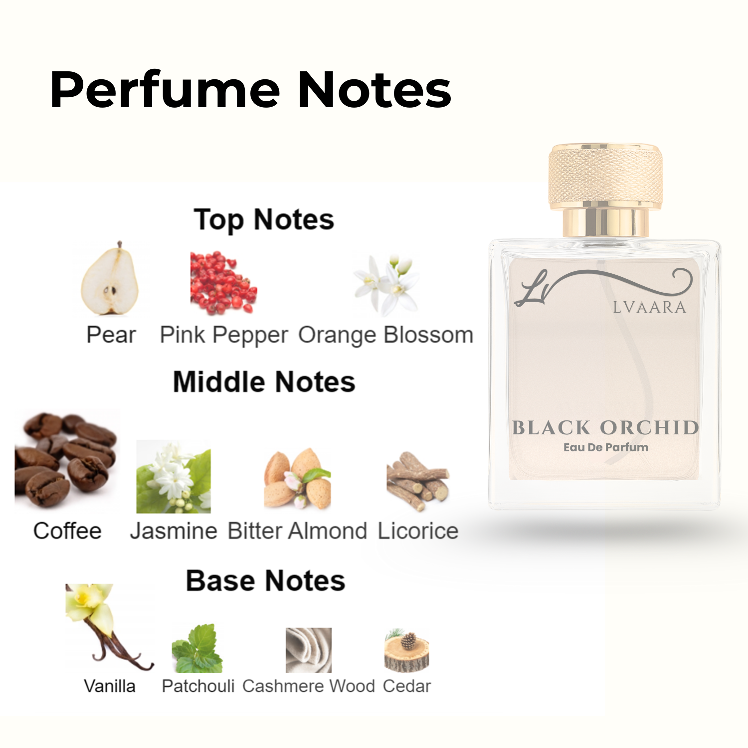 BLACK ORCHID | INSPIRED BY BL*CK ORCH*D BY T*M F*RD | EDP | FEMALE