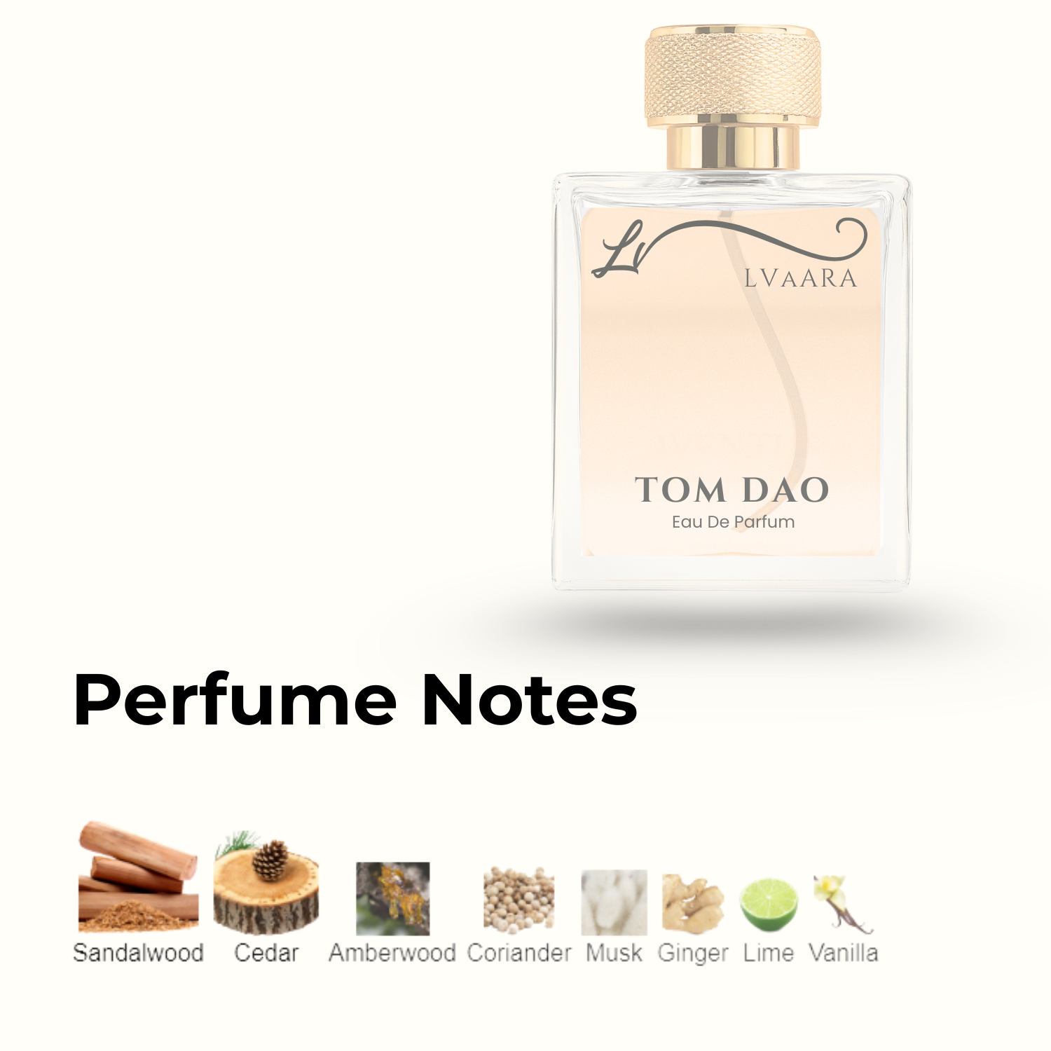 TOM DAO | INSPIRED BY T*M DAO BY D*PTIQUE | EDP | UNISEX