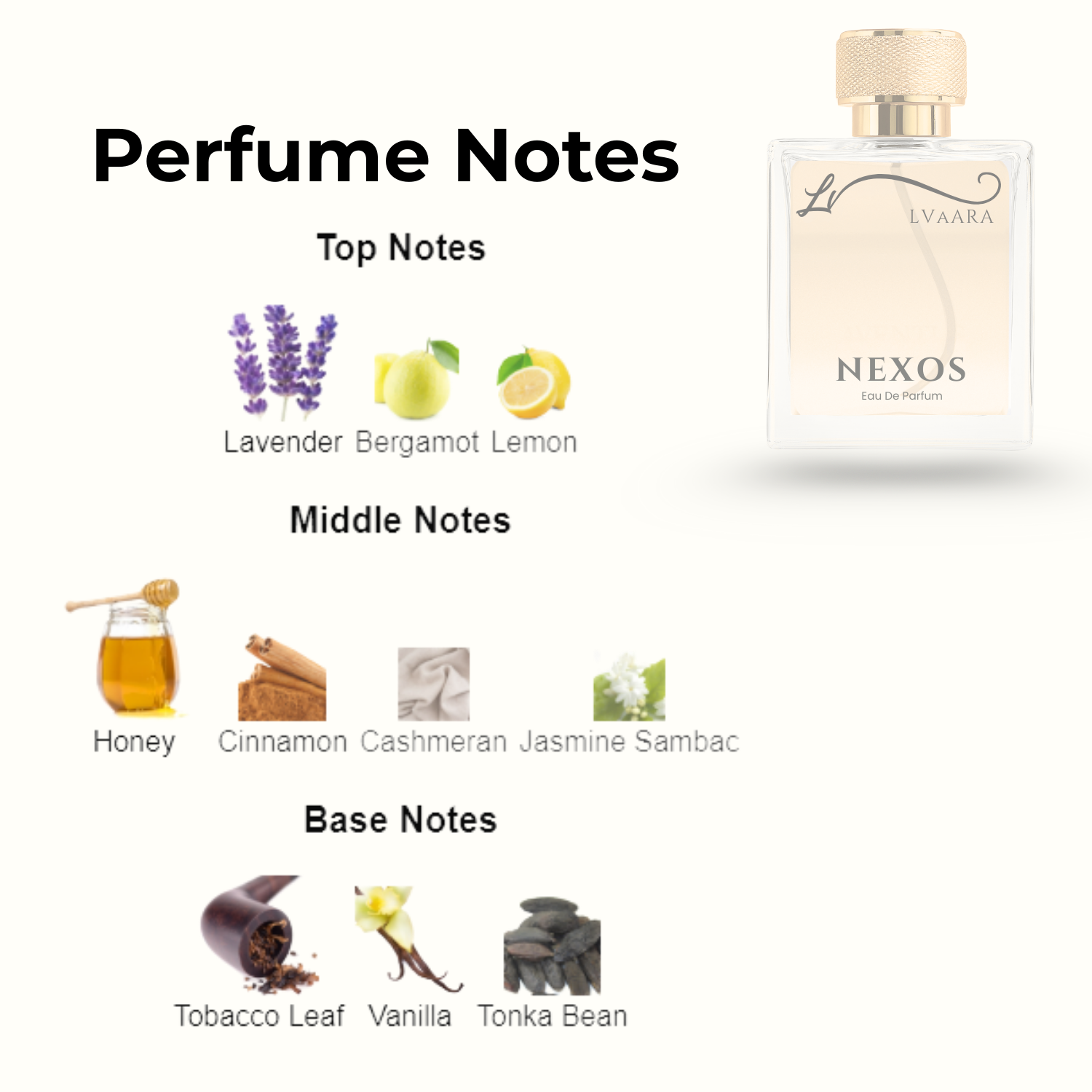 NEXOS | INSPIRED BY XERJ*FF N*XOS | EDP | UNISEX