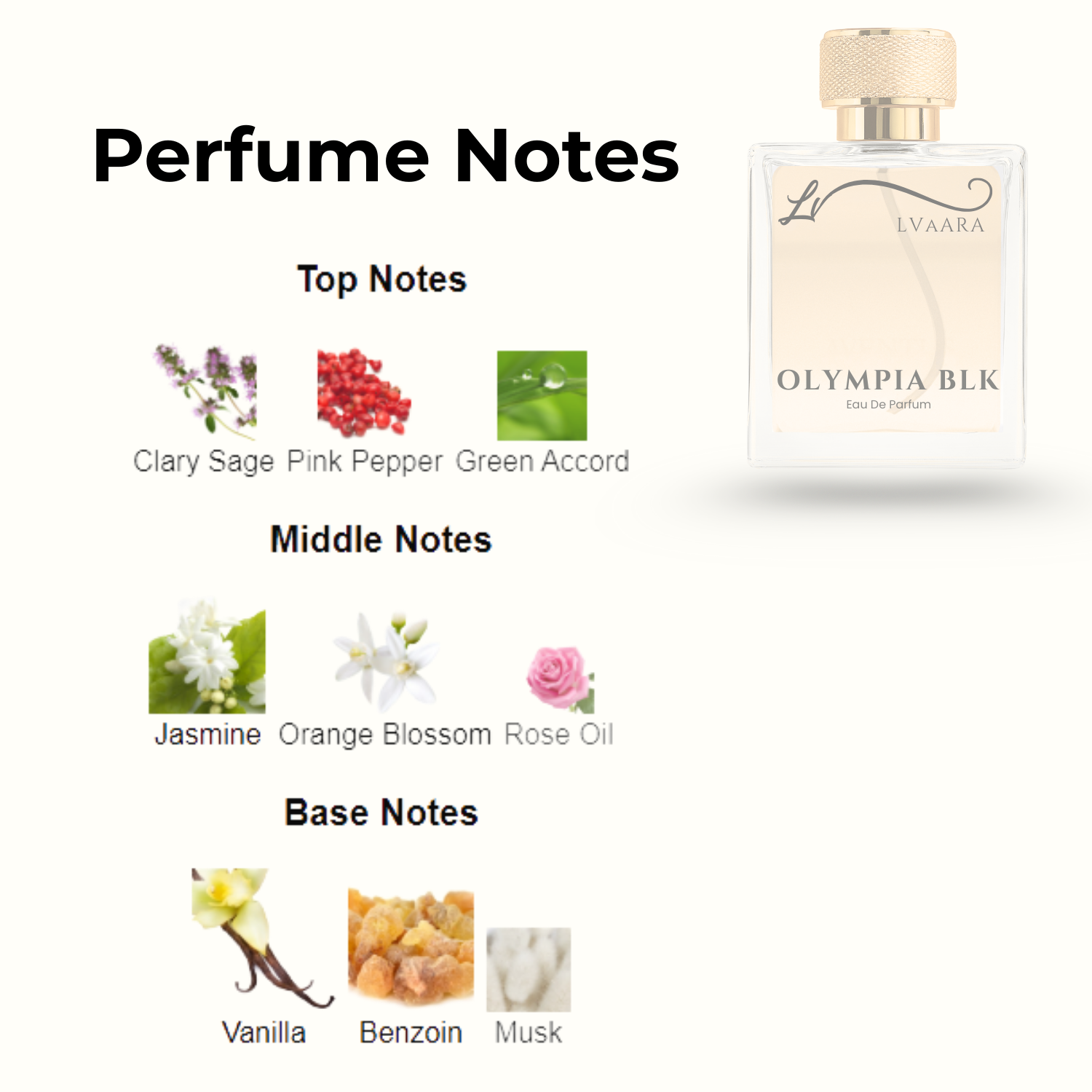 OLYMPIA BLK | INSPIRED BY OLYMP*A BL*CK BY RAB*NNE | EDP | UNISEX