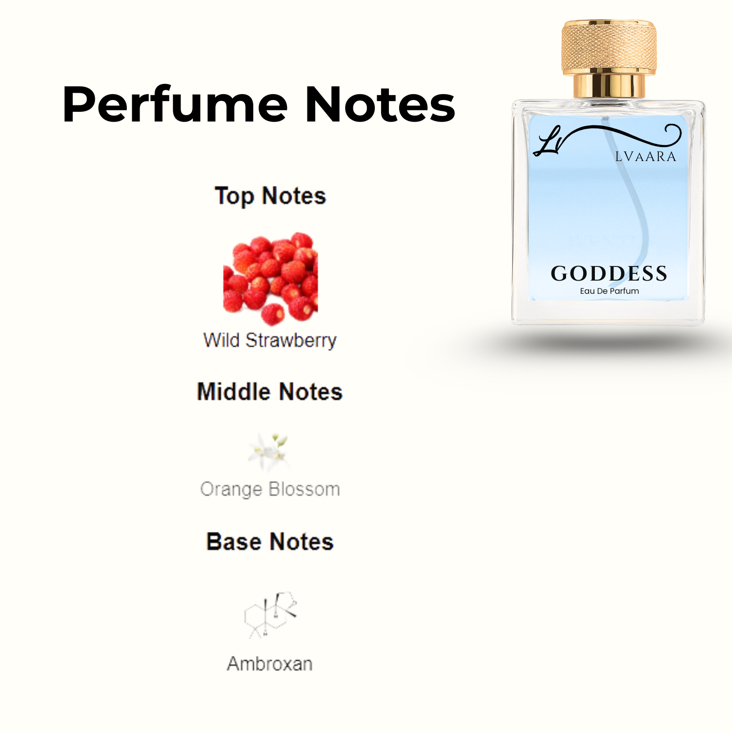 GODDESS | INSPIRED BY GODD*SS BY B*RBERRY | EDP | FEMALE