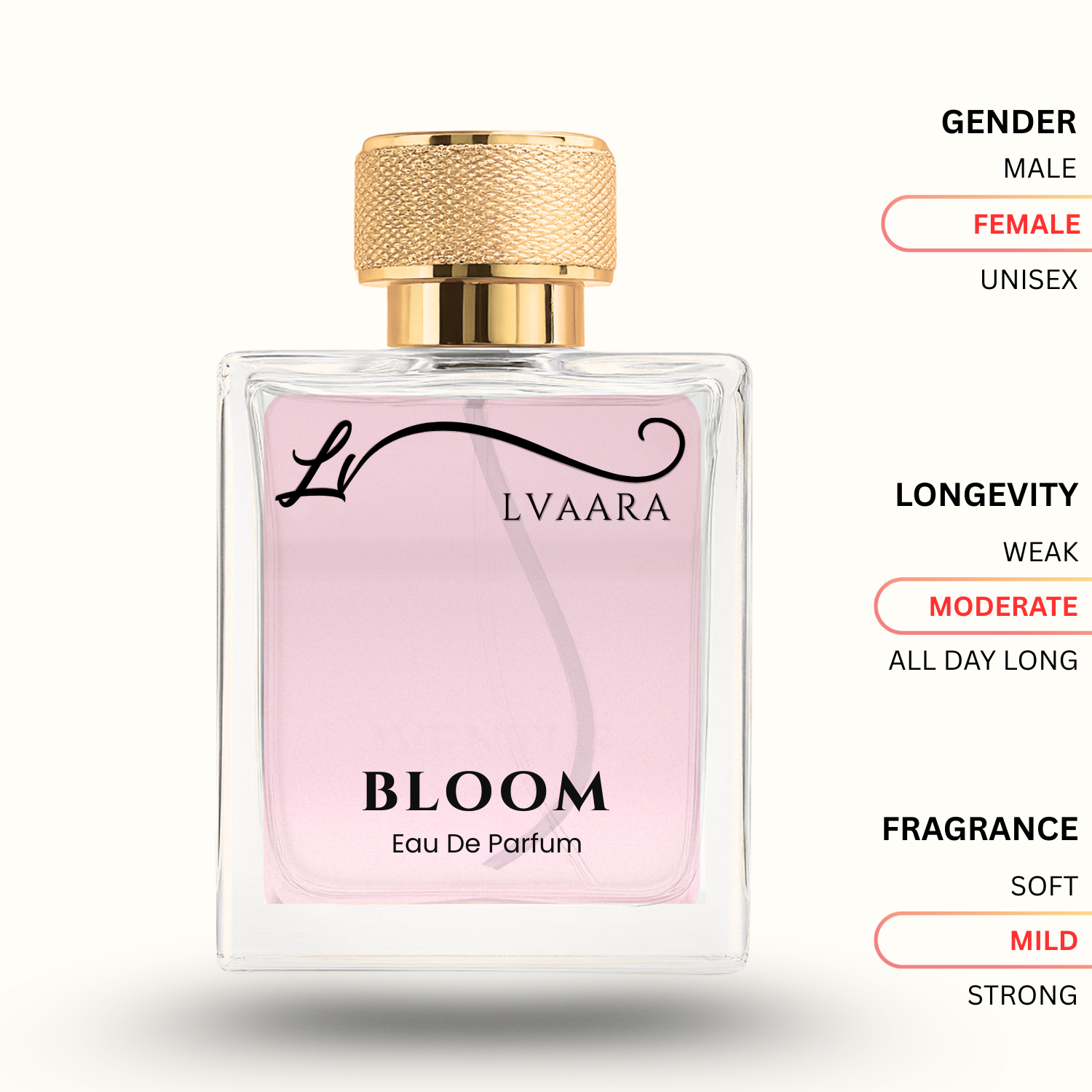 BLOOM | INSPIRED BY BLO*M BY G*CCI | EDP | FEMALE