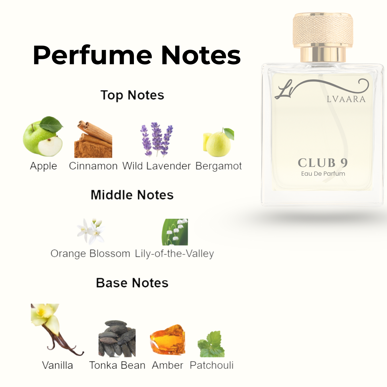 CLUB 9 | INSPIRED BY AFN*N 9PM | EDP | UNISEX